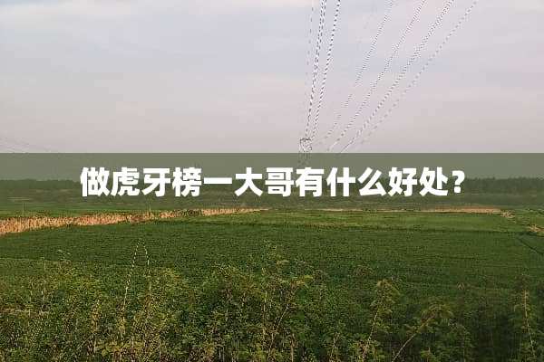 做**榜一大哥有什么好处？