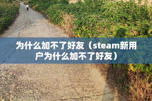 为什么加不了好友（steam新用户为什么加不了好友）