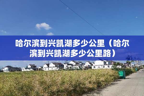 哈尔滨到兴凯湖多少公里（哈尔滨到兴凯湖多少公里路）