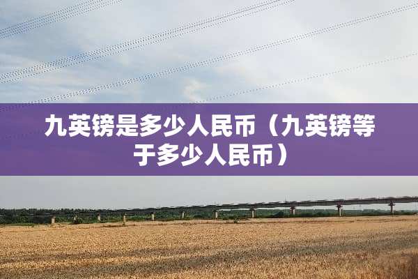 九英镑是多少人民币（九英镑等于多少人民币）