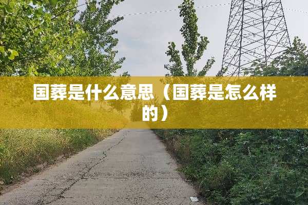 国葬是什么意思（国葬是怎么样的）