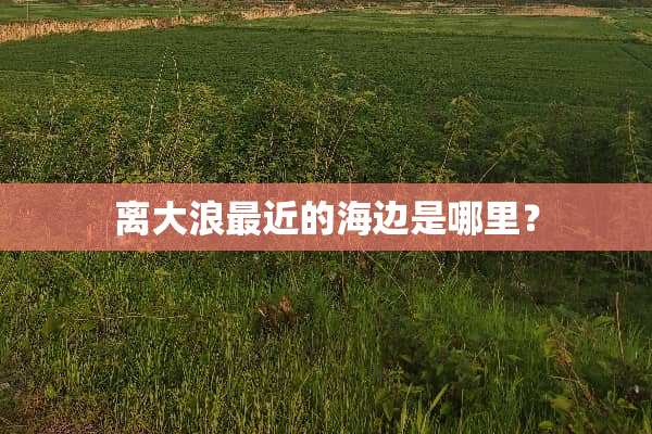离大浪最近的海边是哪里？