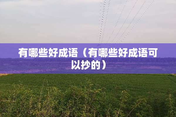有哪些好成语（有哪些好成语可以抄的）