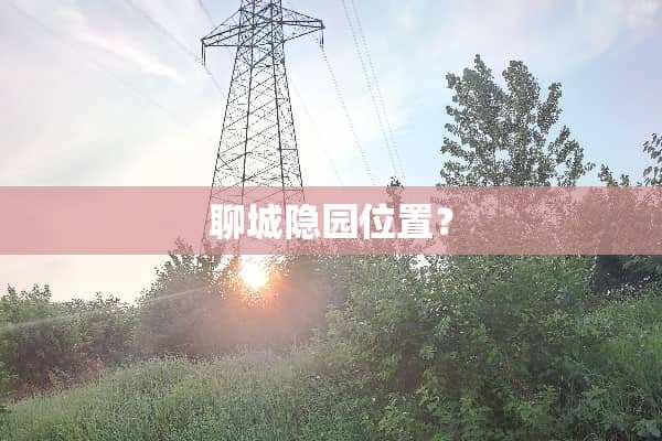 聊城隐园位置？