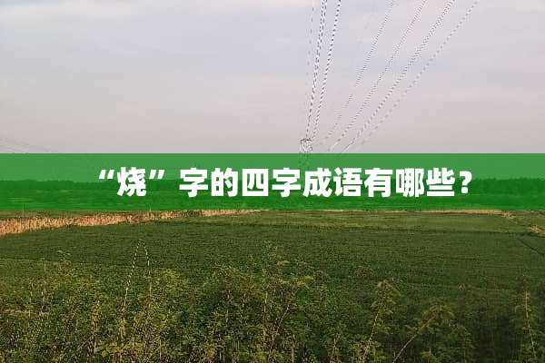 “烧”字的四字成语有哪些？