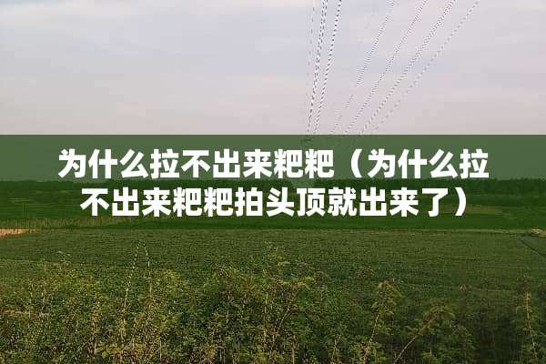 为什么拉不出来粑粑（为什么拉不出来粑粑拍头顶就出来了）