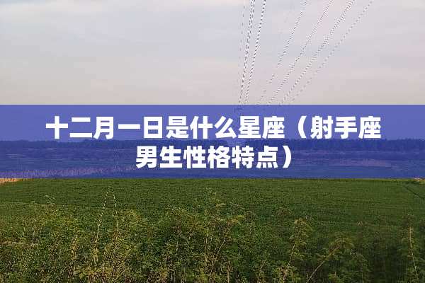 十二月一日是什么星座（射手座男生性格特点）