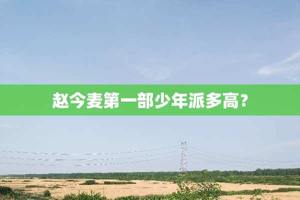 赵今麦第一部少年派多高？