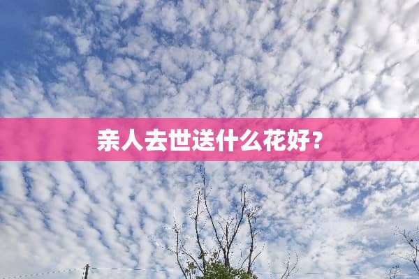 亲人去世送什么花好？