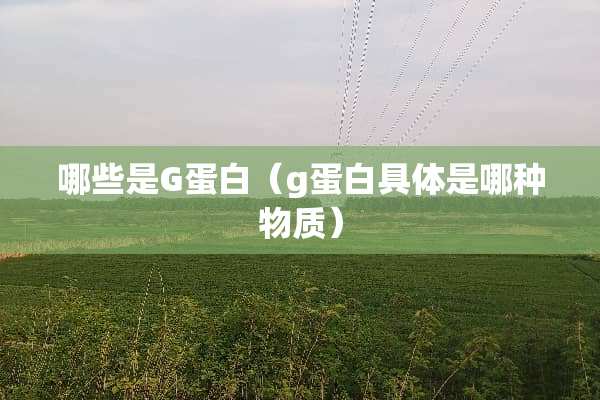 哪些是G蛋白（g蛋白具体是哪种物质）