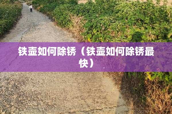 铁壶如何除锈（铁壶如何除锈最快）
