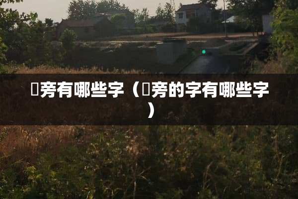 亇旁有哪些字（咅旁的字有哪些字）