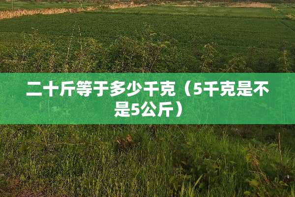 二十斤等于多少千克（5千克是不是5公斤）