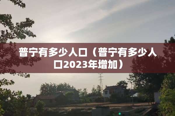 普宁有多少人口（普宁有多少人口2023年增加）