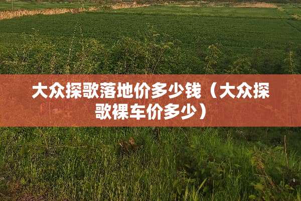 大众探歌落地价多少钱（大众探歌*车价多少）