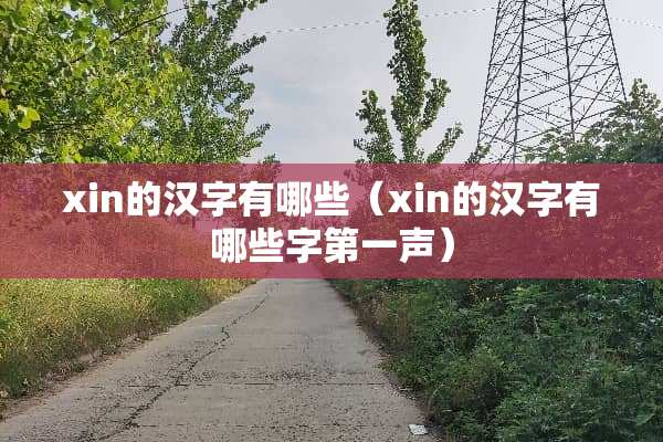 xin的汉字有哪些（xin的汉字有哪些字第一声）