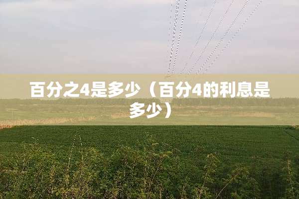 百分之4是多少（百分4的利息是多少）