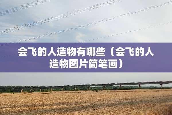 会飞的人造物有哪些（会飞的人造物图片简笔画）