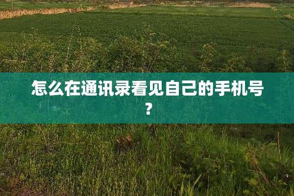 怎么在通讯录看见自己的手机号？