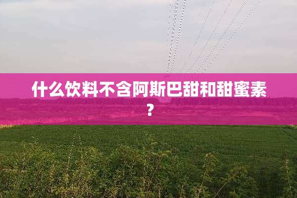 什么饮料不含阿斯巴甜和甜蜜素？