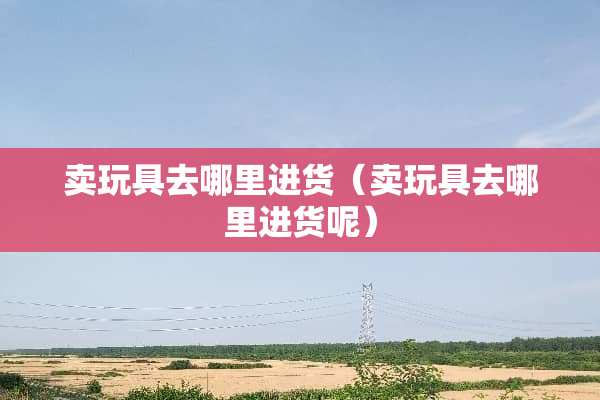 卖玩具去哪里进货（卖玩具去哪里进货呢）