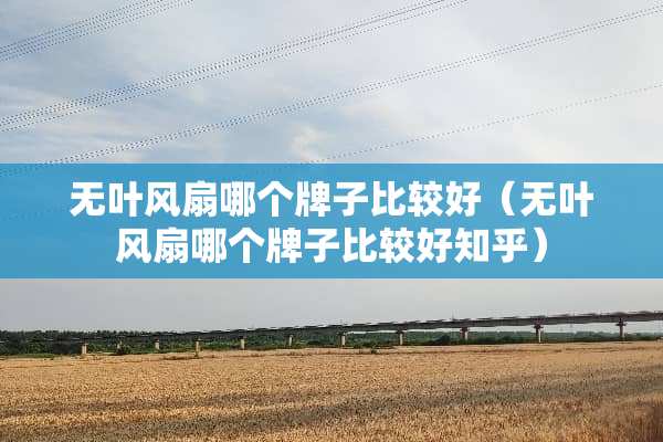 无叶风扇哪个牌子比较好（无叶风扇哪个牌子比较好知乎）