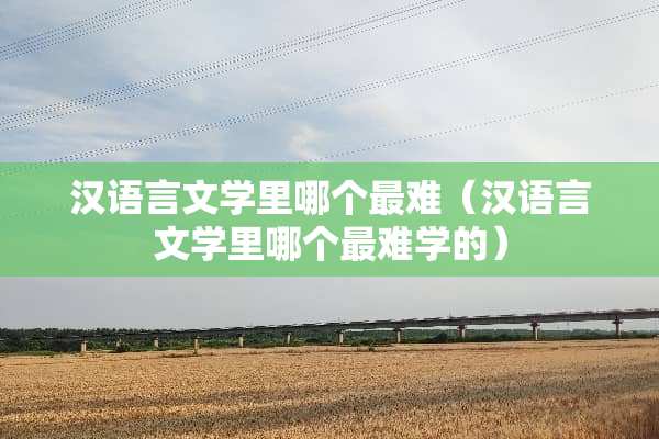 汉语言文学里哪个最难（汉语言文学里哪个最难学的）