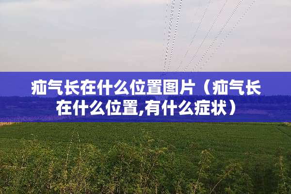 疝气长在什么位置图片（疝气长在什么位置,有什么症状）