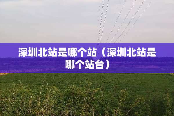 深圳北站是哪个站（深圳北站是哪个站台）