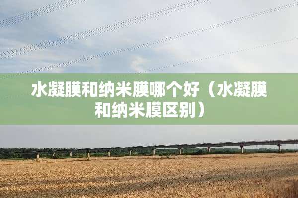 水凝膜和纳米膜哪个好（水凝膜和纳米膜区别）