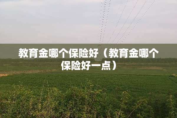 教育金哪个保险好（教育金哪个保险好一点）