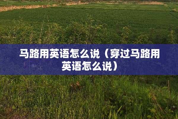马路用英语怎么说（穿过马路用英语怎么说）