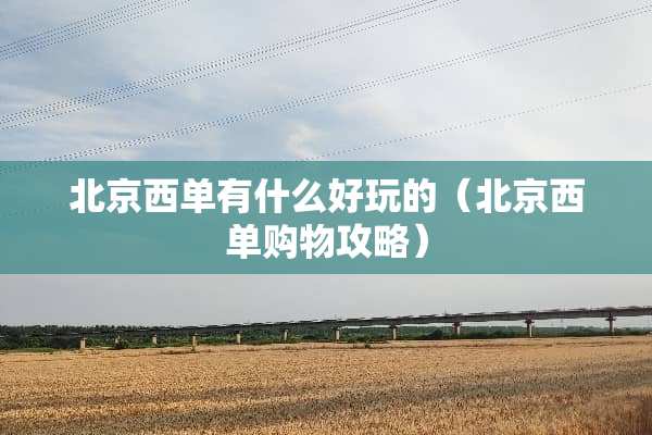 北京西单有什么好玩的（北京西单购物攻略）