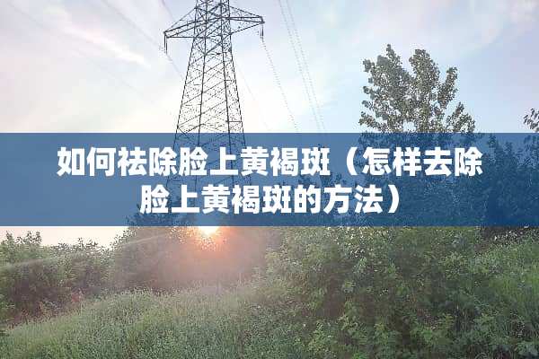 如何祛除脸上***（怎样去除脸上***的方法）