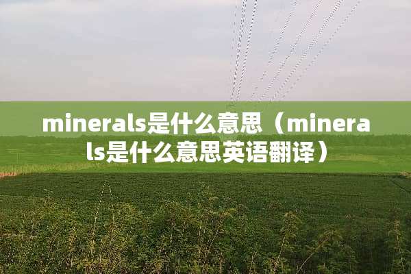 minerals是什么意思（minerals是什么意思英语翻译）