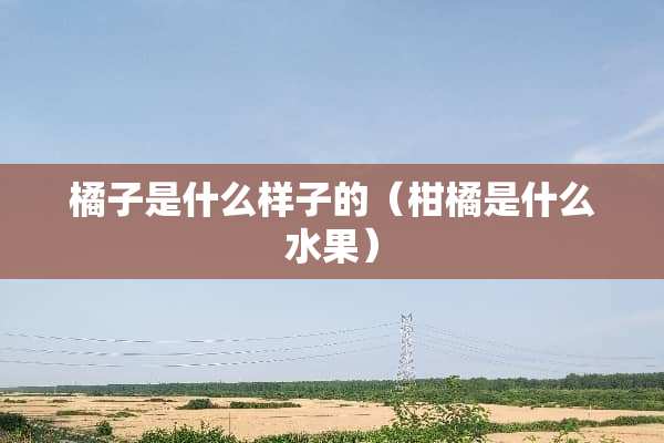 橘子是什么样子的（柑橘是什么水果）