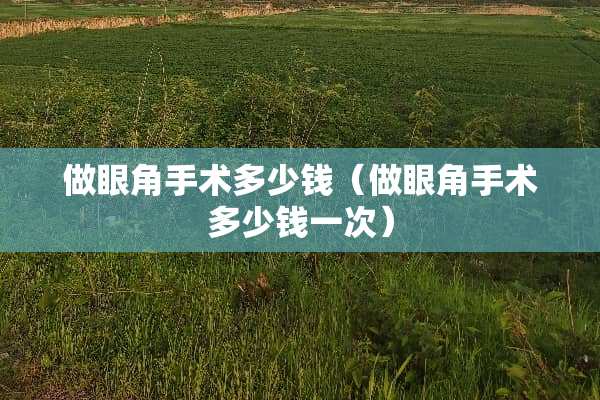 做眼角手术多少钱（做眼角手术多少钱一次）