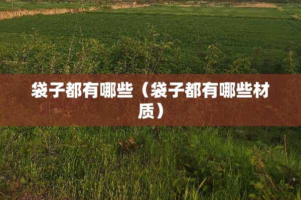 袋子都有哪些（袋子都有哪些材质）