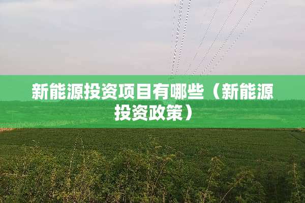 新能源投资项目有哪些（新能源投资政策）