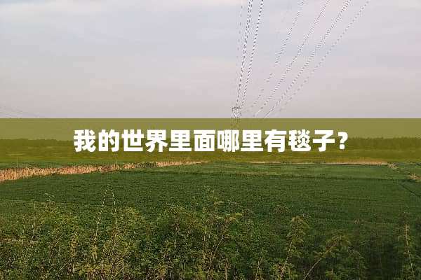 我的世界里面哪里有毯子？