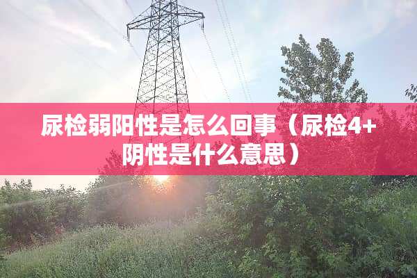 尿检弱阳性是怎么回事（尿检4+*性是什么意思）