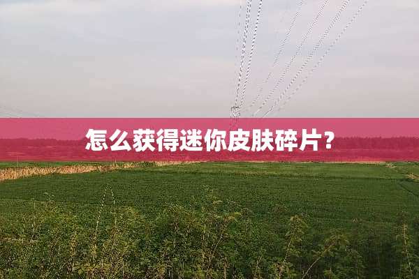 怎么获得迷你皮肤碎片？