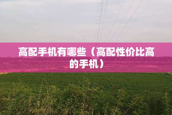 高配手机有哪些（高配性价比高的手机）