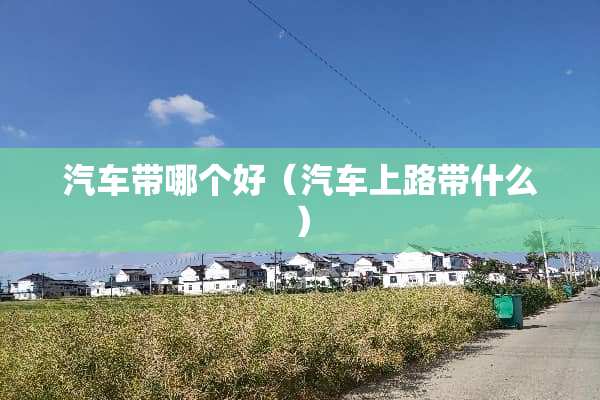 汽车带哪个好（汽车上路带什么）