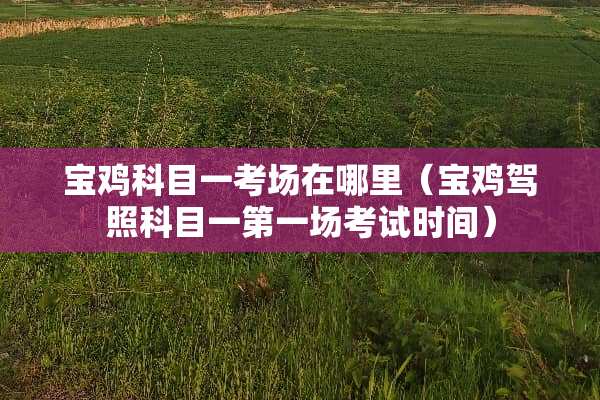 宝鸡科目一考场在哪里（宝鸡驾照科目一第一场考试时间）