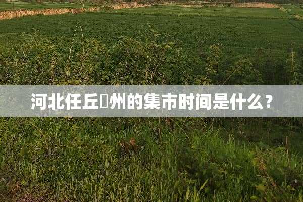 河北任丘鄚州的集市时间是什么？