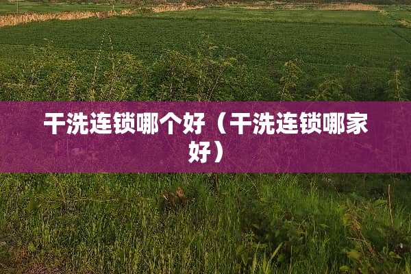 干洗连锁哪个好（干洗连锁哪家好）