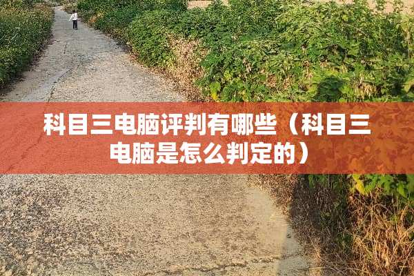 科目三电脑评判有哪些（科目三电脑是怎么判定的）