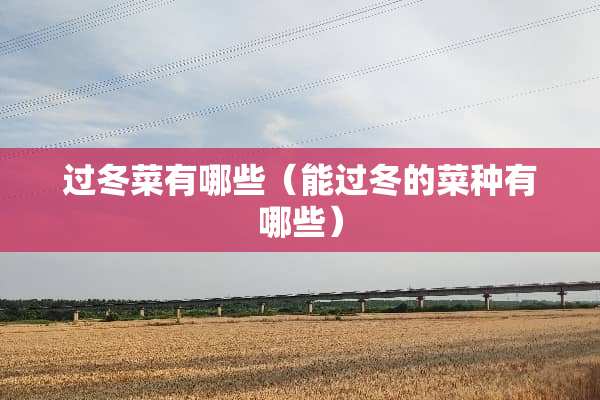 过冬菜有哪些（能过冬的菜种有哪些）