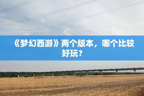 《梦幻西游》两个版本，哪个比较好玩？
